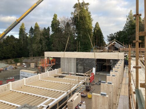 Avondale glulam beams
