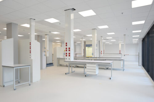 Jannsen Biologics, Leiden, The Netherlands